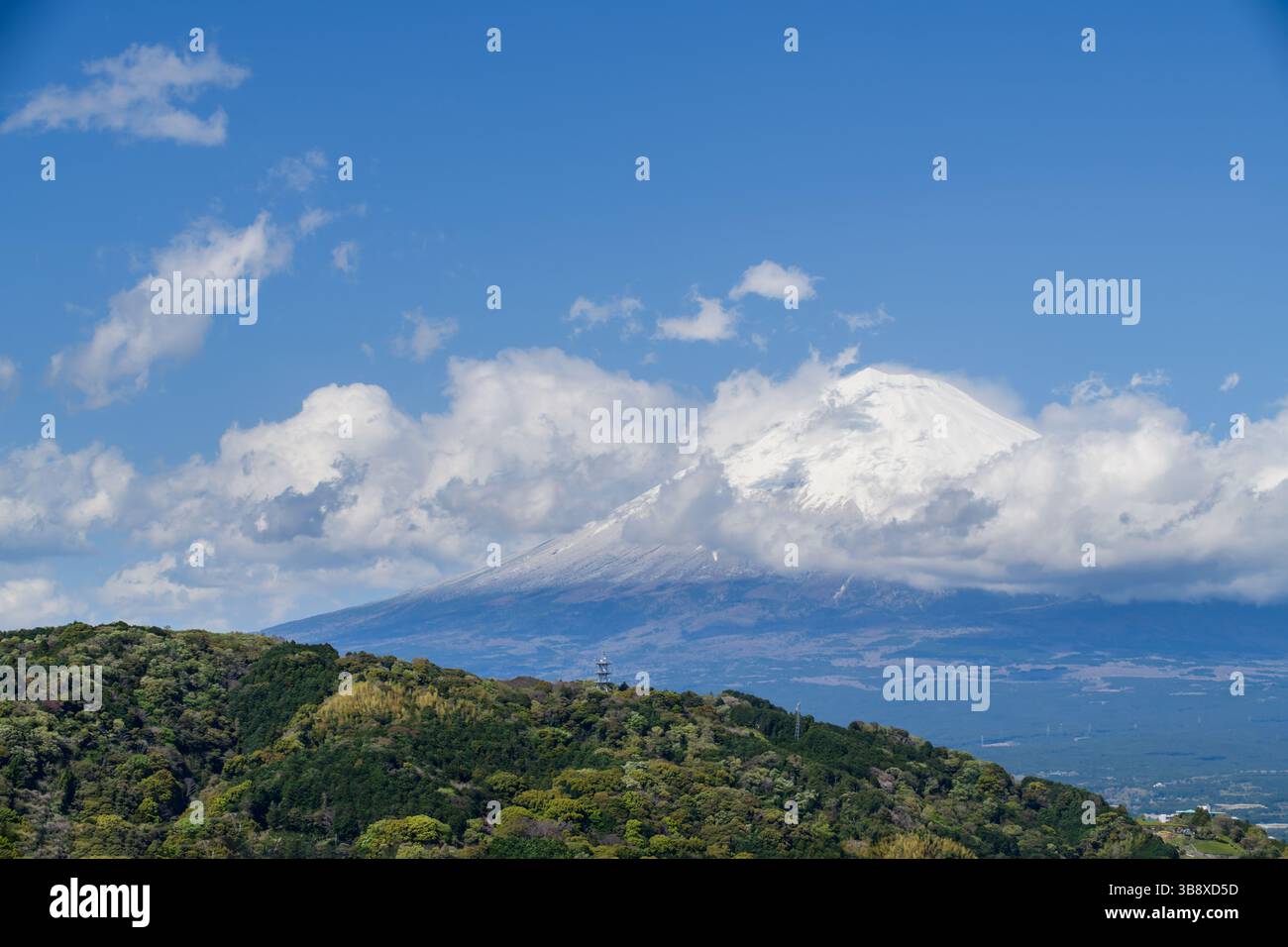 Questo paesaggio panoramico cattura la pacifica convivenza della vita urbana e della natura nel Giappone rurale. In lontananza, l'iconico Monte Fuji si erge maestoso Foto Stock