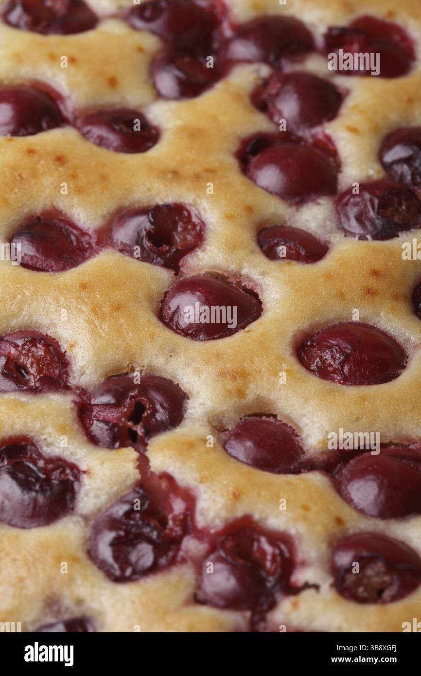 La ciliegia pan di spagna dopo la cottura close up Foto Stock