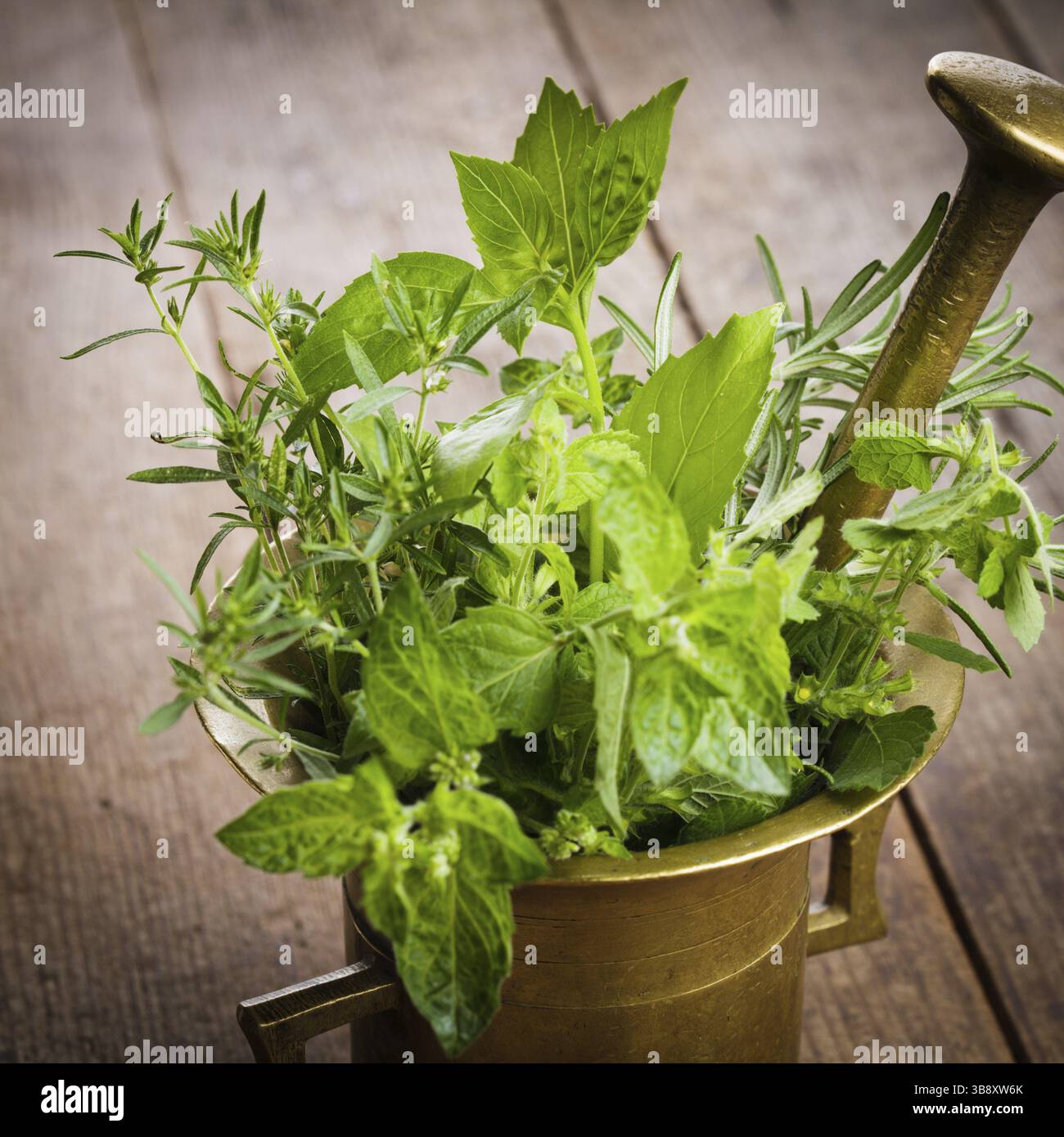 Le erbe fresche nel mortaio di rame sul tavolo Foto Stock