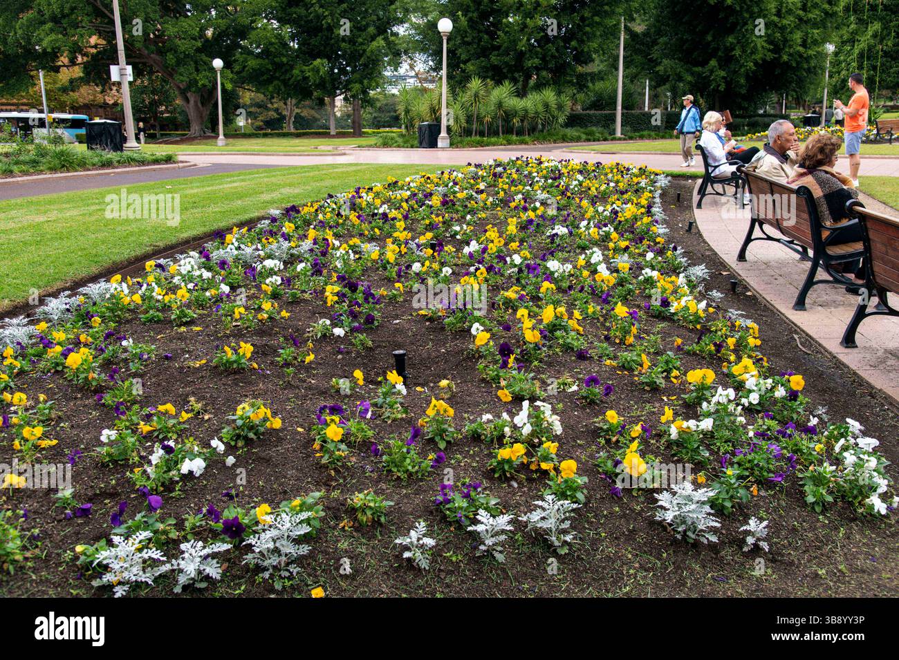 17 aprile 2023, Sydney, nuovo Galles del Sud, Australia: Splendidi fiori a Hyde Park, Sydney, nuovo Galles del Sud, Australia. . Hyde Park è il parco più antico dell'Australia. Il Parco contiene giardini ben curati e circa 580 alberi: Un misto di fichi, conifere, palme e altre varietà. Il parco ha anche due stazioni ferroviarie, che lo rendono molto facile da raggiungere in treno ed è anche a breve distanza a piedi da una stazione della metropolitana leggera. (Immagine di credito: © Tara Malhotra/ZUMA Press Wire) Foto Stock