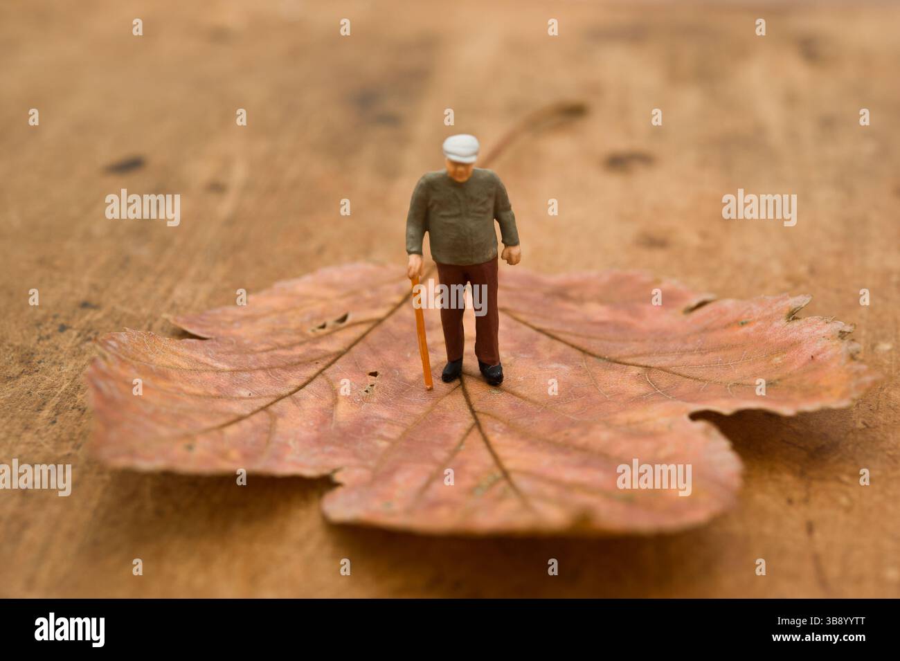 statuetta in miniatura di un vecchio su una foglia caduta, concetto di invecchiamento Foto Stock