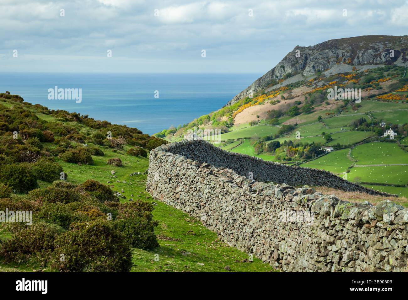 Pomeriggio primaverile nella campagna gallese, Conwy. Foto Stock