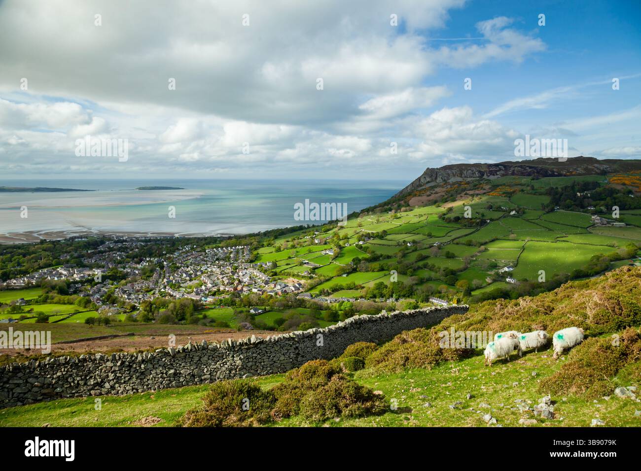 Pomeriggio primaverile nella campagna gallese vicino a Llanfairfechan, Conwy. Foto Stock