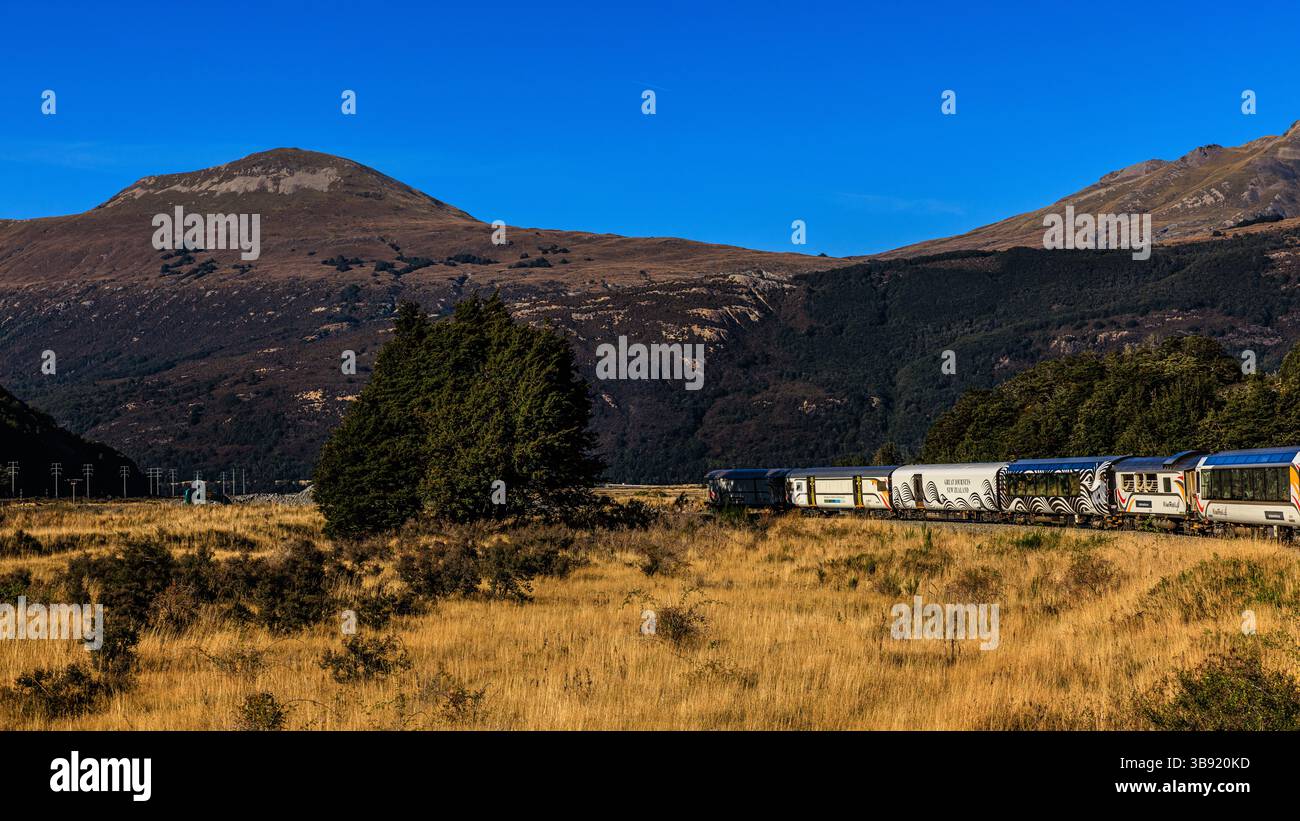 Nuova Zelanda tranzalpine carrozze livate di mondi viaggio in treno grande attraversano il bellissimo paesaggio delle alpi meridionali prendendo da una vista all'aria aperta Foto Stock