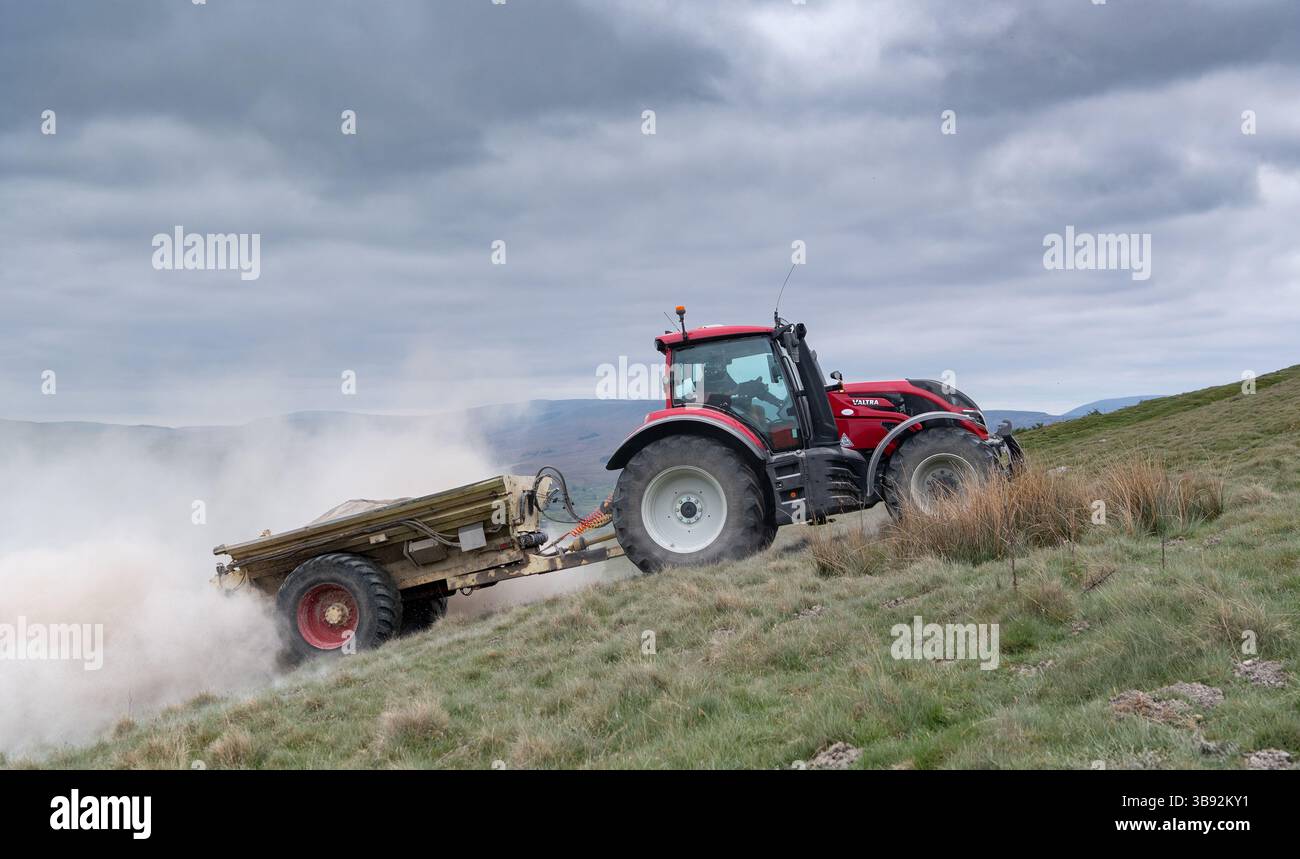 Appaltatore agricolo, alla guida di un trattore Valtra rosso, spalmando calce su un ripido pascolo per migliorare il pH del terreno e la qualità del terreno. Wensley Foto Stock