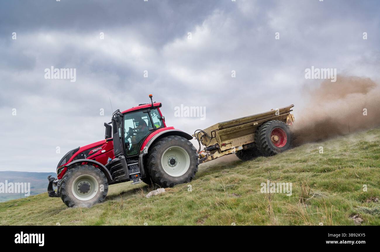 Appaltatore agricolo, alla guida di un trattore Valtra rosso, spalmando calce su un ripido pascolo per migliorare il pH del terreno e la qualità del terreno. Wensley Foto Stock