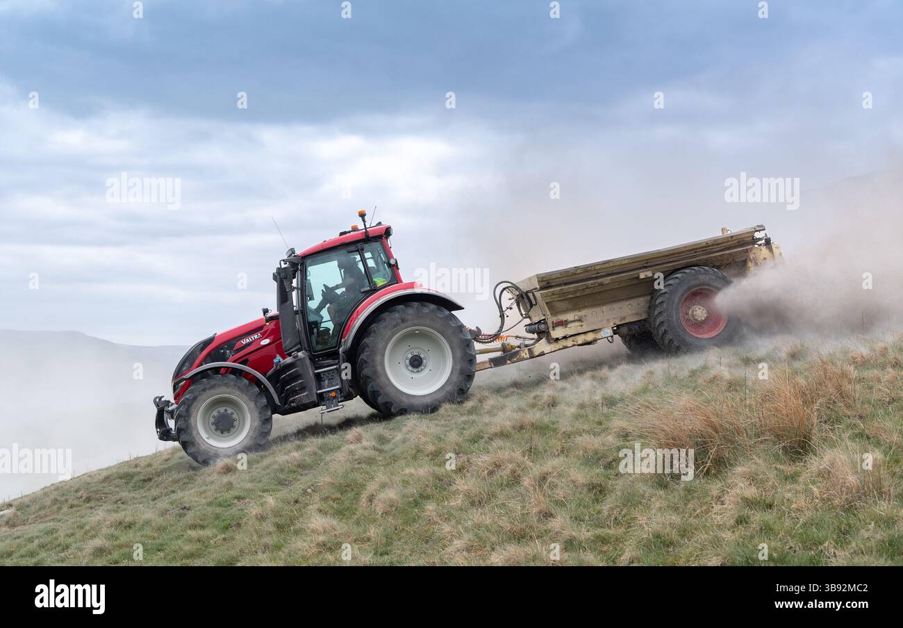 Appaltatore agricolo, alla guida di un trattore Valtra rosso, spalmando calce su un ripido pascolo per migliorare il pH del terreno e la qualità del terreno. Wensley Foto Stock