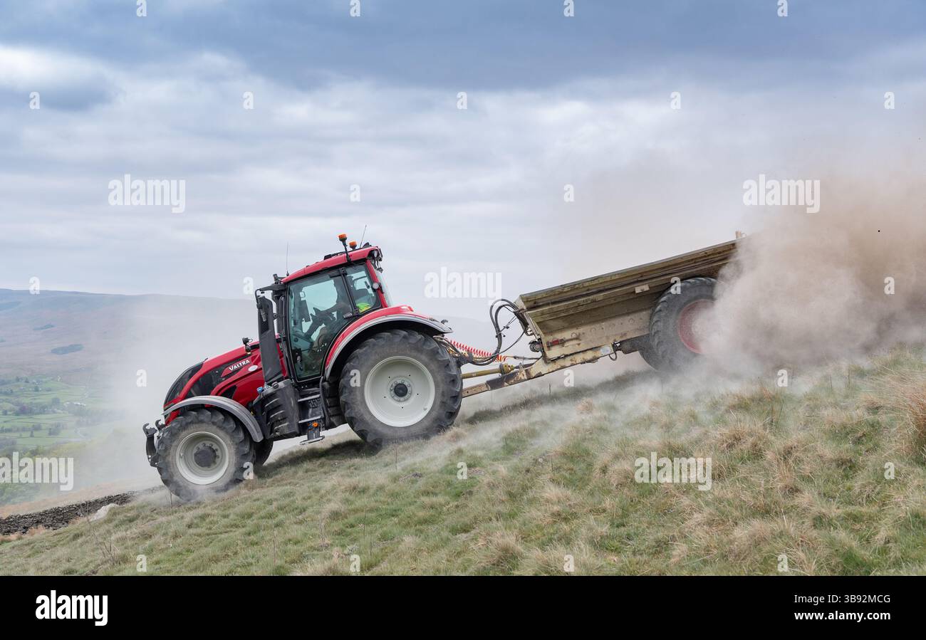 Appaltatore agricolo, alla guida di un trattore Valtra rosso, spalmando calce su un ripido pascolo per migliorare il pH del terreno e la qualità del terreno. Wensley Foto Stock