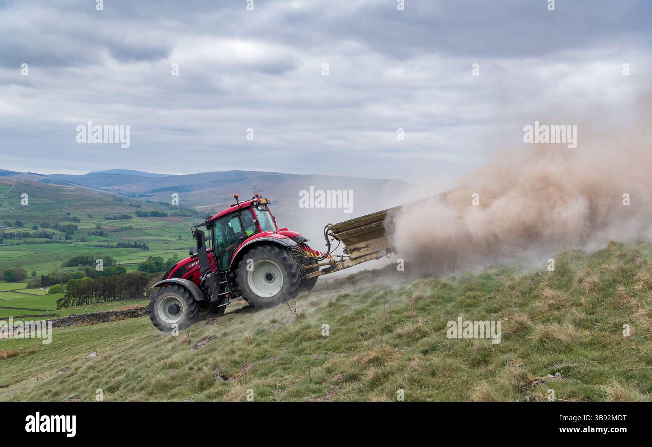 Appaltatore agricolo, alla guida di un trattore Valtra rosso, spalmando calce su un ripido pascolo per migliorare il pH del terreno e la qualità del terreno. Wensley Foto Stock