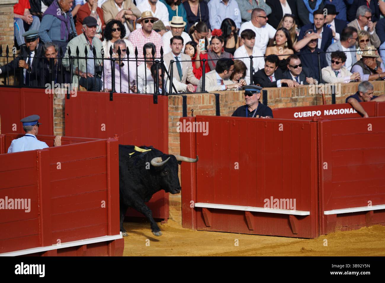 Feria Sevilla Bullfight 2025. La corrida ha luogo durante la Feria de Abril, Foto Stock
