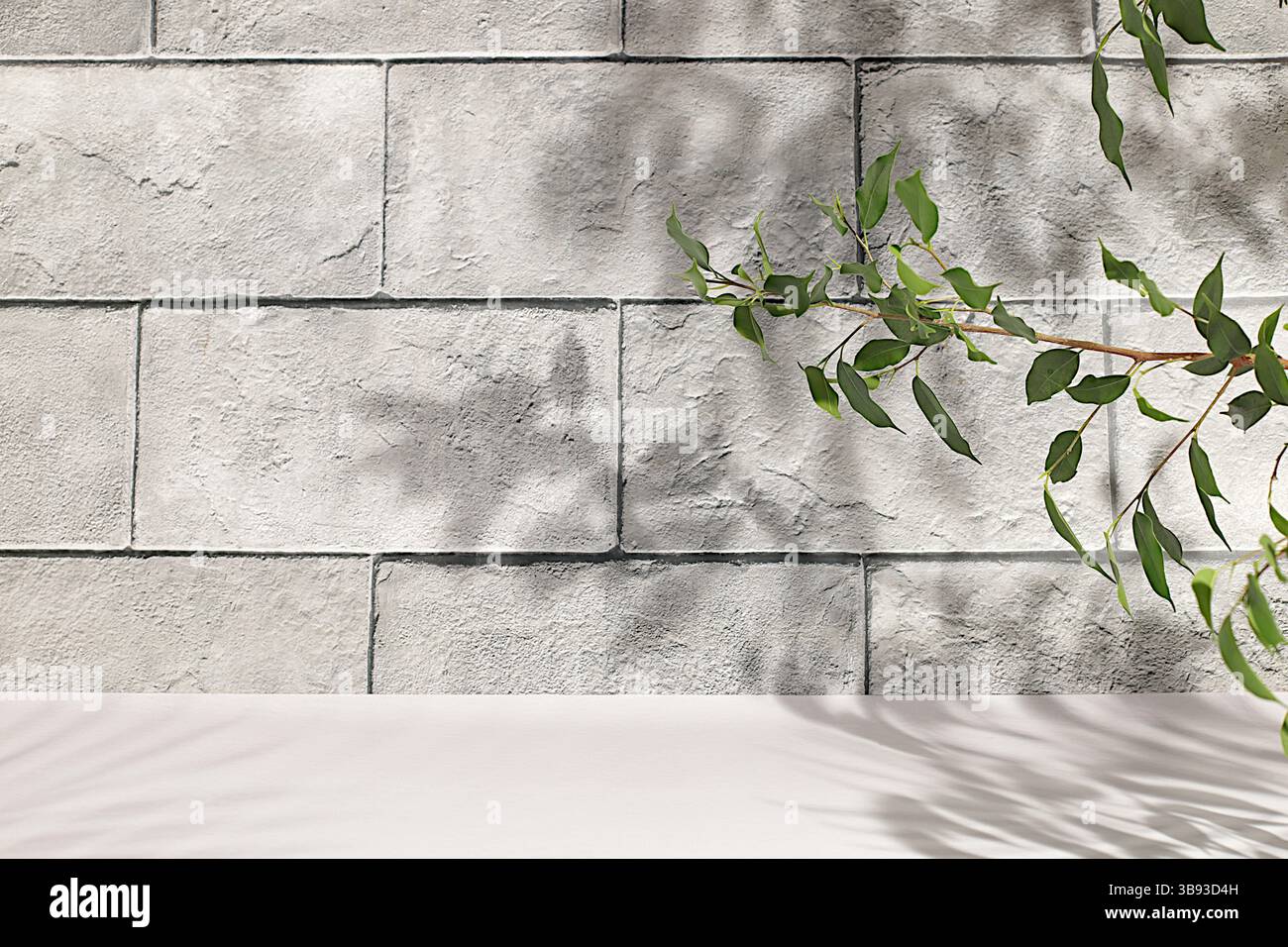 Parete in cemento con ombre dure dalle foglie di palma, podio vuoto Premium. Sfondo astratto minimo per la presentazione di prodotti cosmetici, estetica di bellezza Foto Stock