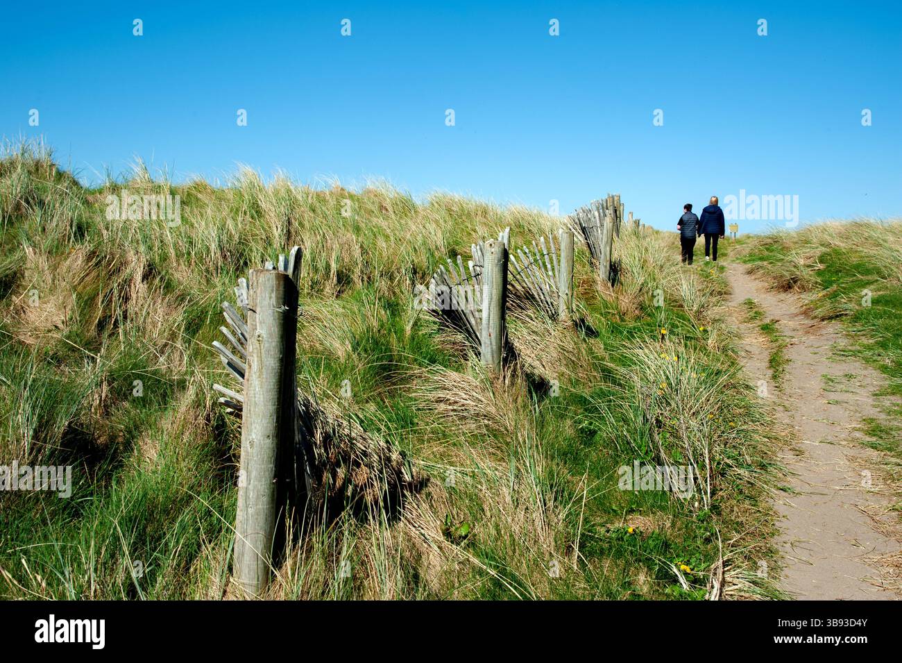La vista sulla parte dei piedi delle dune di Strandhill, Co, Sligo, Irlanda Foto Stock