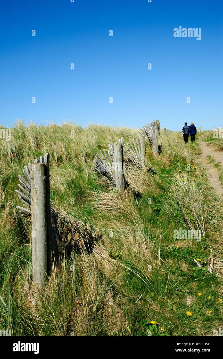 La vista sulla parte dei piedi delle dune di Strandhill, Co, Sligo, Irlanda Foto Stock