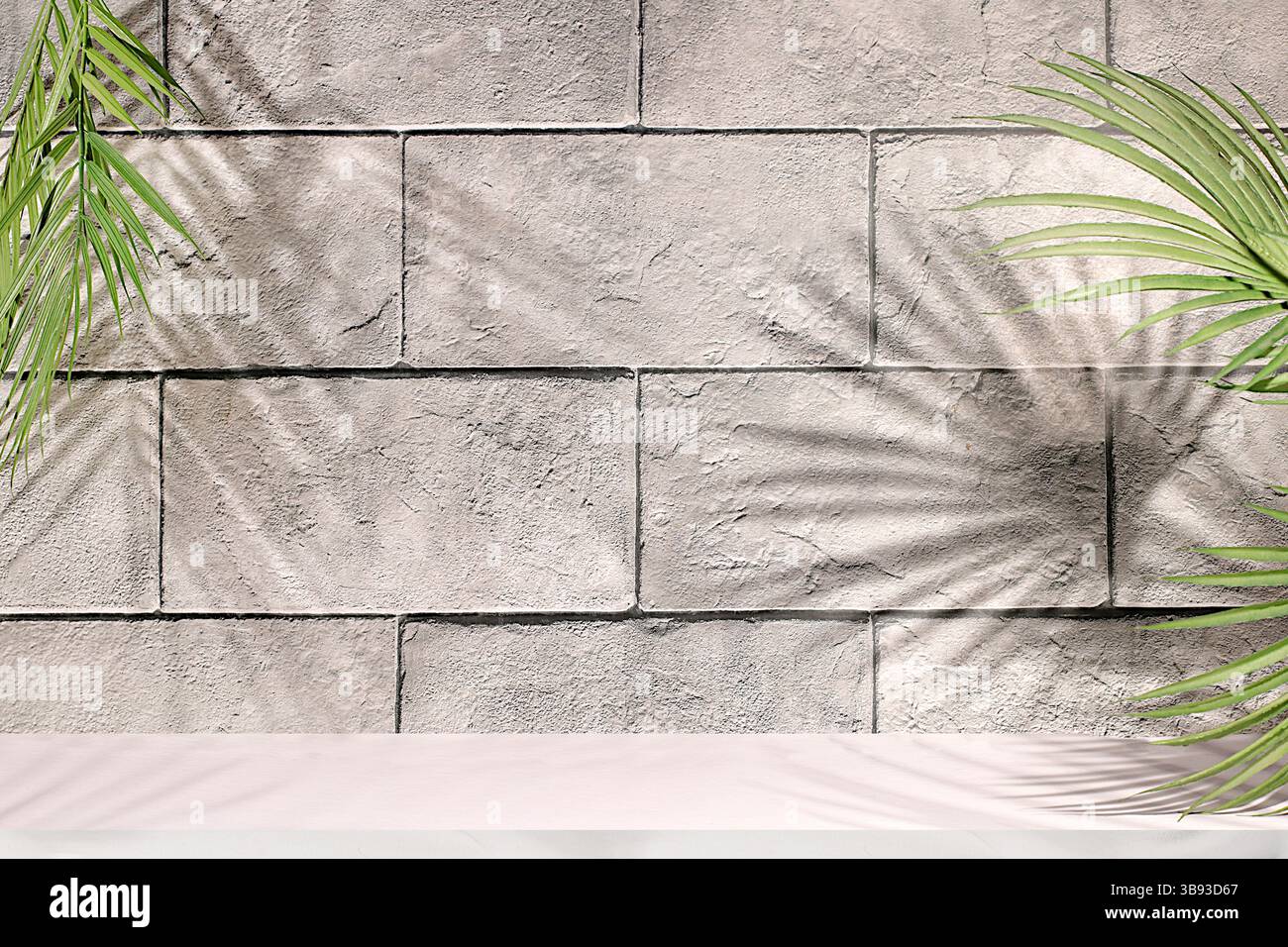 Parete in cemento con ombre dure dalle foglie di palma, podio vuoto Premium. Sfondo astratto minimo per la presentazione di prodotti cosmetici, estetica di bellezza Foto Stock