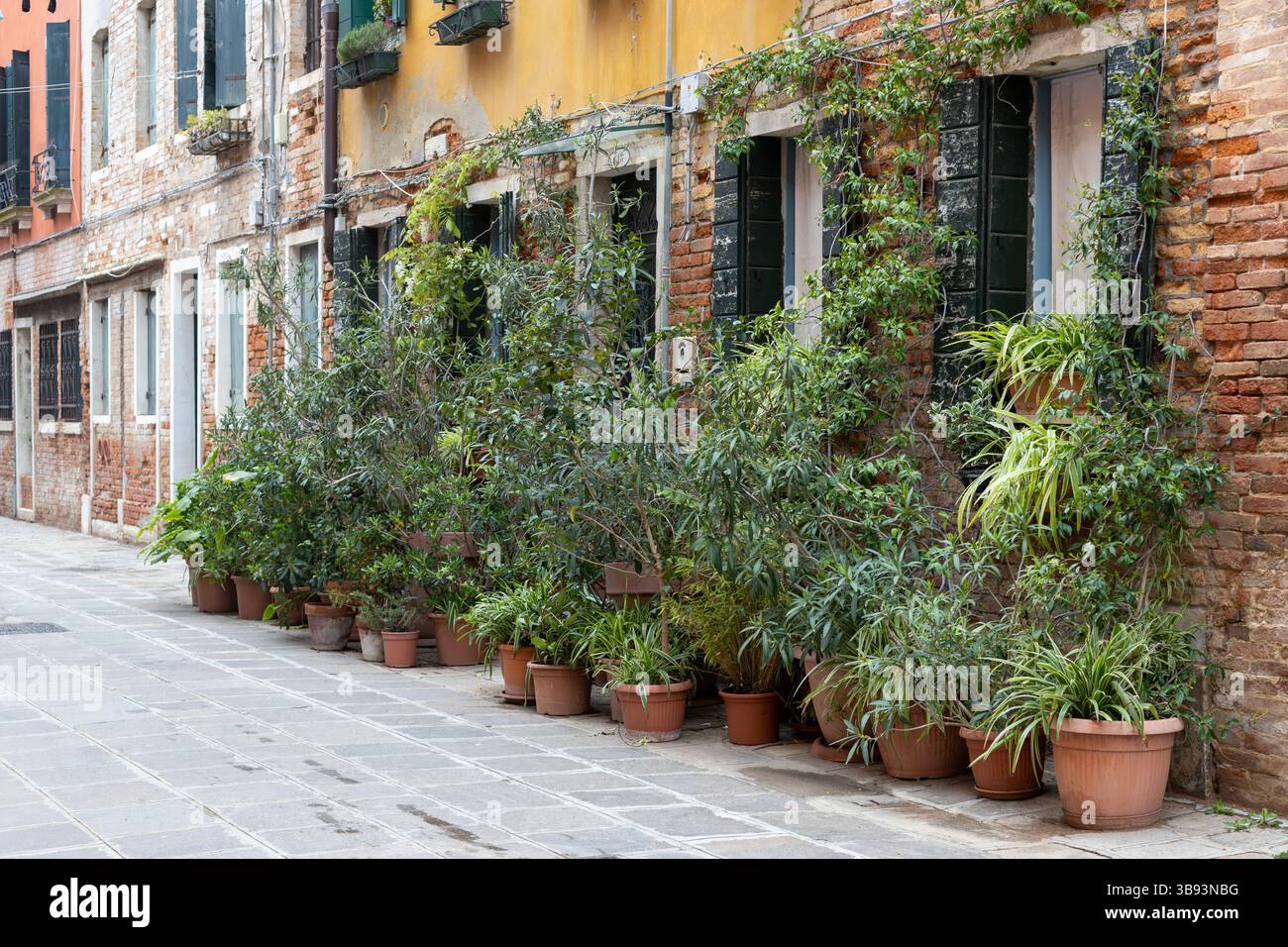 Piante in vaso lungo l'Old Brick Building Foto Stock