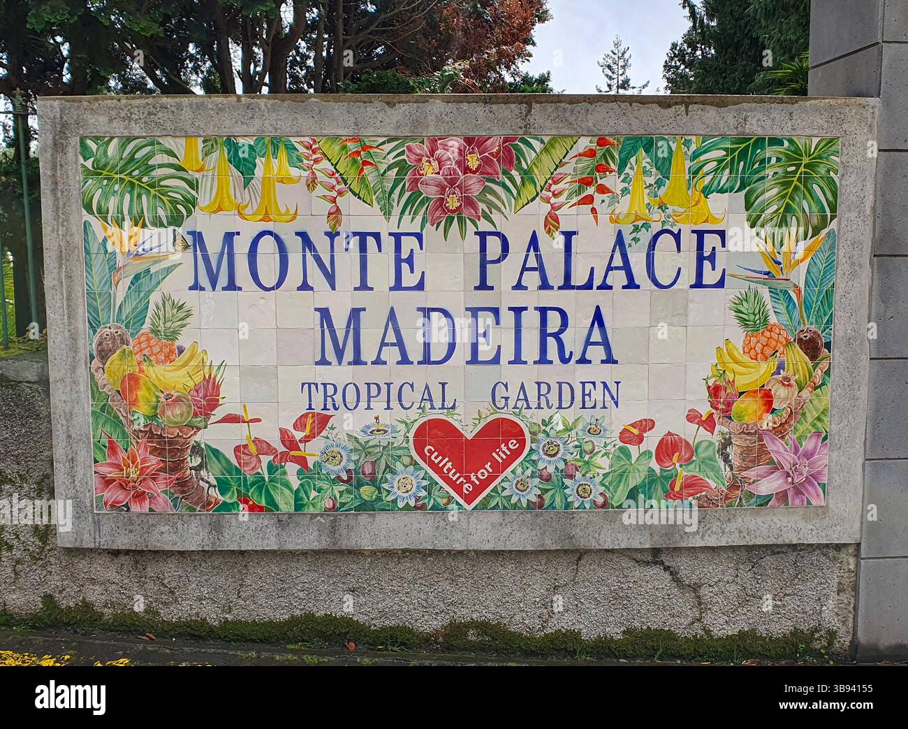 Giardini del Palazzo di Monte, Funchal, Madeira, Portogallo Foto Stock