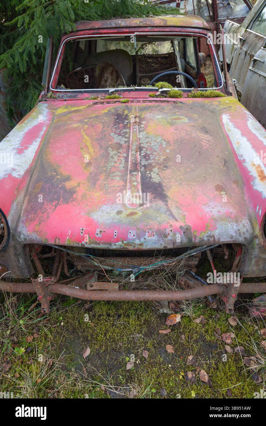 Bastnas, Varmland, Svezia. 3 novembre 2024. Auto snodate al Cimitero delle Bastnas Car. Foto Stock