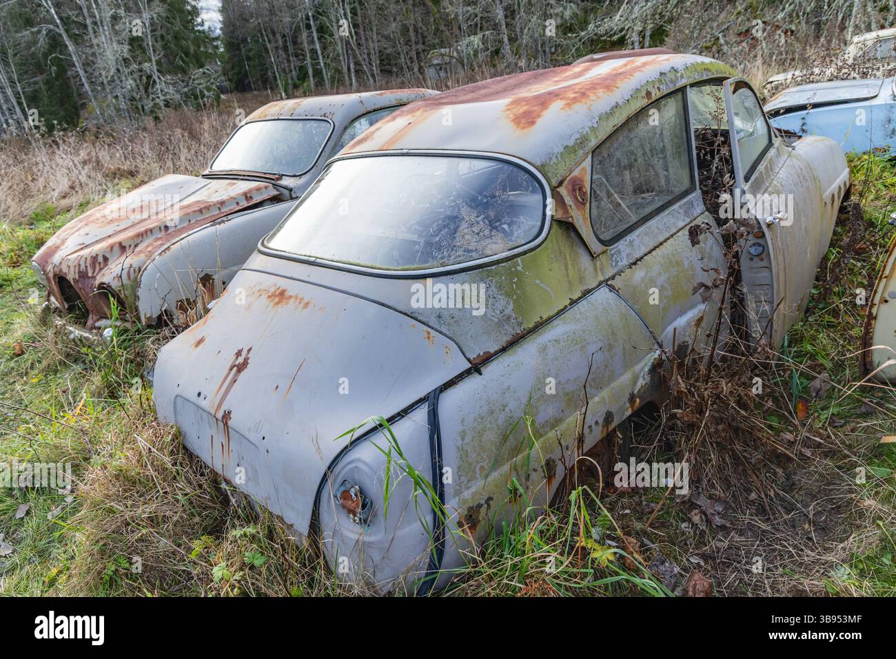 Bastnas, Varmland, Svezia. 3 novembre 2024. Auto snodate al Cimitero delle Bastnas Car. Foto Stock