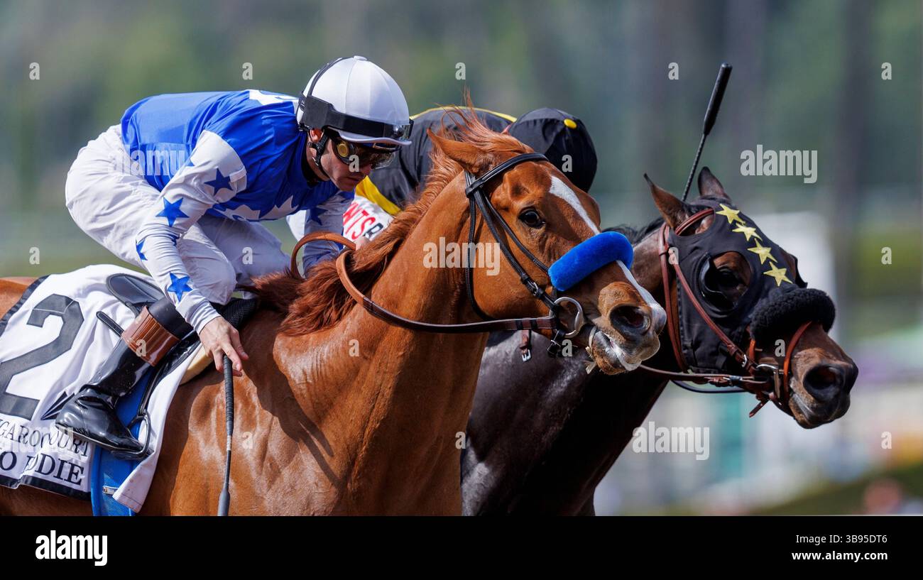8 aprile 2023, Arcadia, California, USA: Kangaroo Court (2) guidato da Flavien Prat vince la Santa Listed Echo Eddie Stakes al Santa Anita Park di Arcadia, California, l'8 aprile 2023. Alex Evers/Eclipse Sportswire/CSM (immagine di credito: © Alex Evers/Eclipse Sportswire/cs/CSM tramite ZUMA Press Wire) Foto Stock