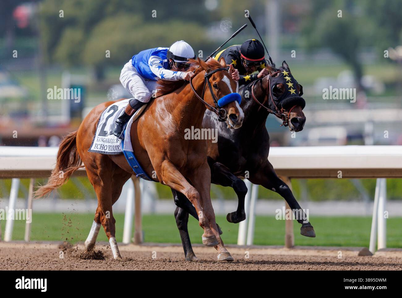 8 aprile 2023, Arcadia, California, USA: Kangaroo Court (2) guidato da Flavien Prat vince la Santa Listed Echo Eddie Stakes al Santa Anita Park di Arcadia, California, l'8 aprile 2023. Alex Evers/Eclipse Sportswire/CSM (immagine di credito: © Alex Evers/Eclipse Sportswire/cs/CSM tramite ZUMA Press Wire) Foto Stock
