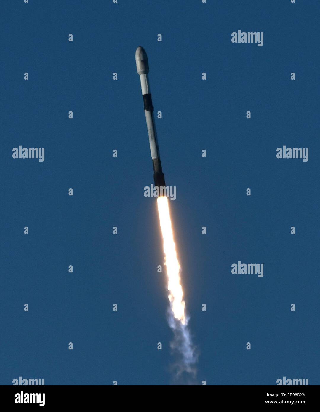 Dopo un ritardo di 48 ore SpaceX Starllink lancia un Falcon 9 con dozzine di satelliti e per la prima volta ceneri di persone nello spazio da Vandenberg SFB, CA/USA, martedì 31 gennaio 2023. Le ceneri 5 persone saranno sul razzo e orbiteranno intorno alla Terra per un massimo di 10 anni, prima di schiantarsi attraverso l'atmosfera e bruciare. Questo è il primo lancio da parte di StardustMe dalla nuova Zelanda di resti umani in orbita Sense 1992, quando una navetta spaziale della NASA trasportò le ceneri del creatore di Star Trek Gene Roddenberry?. (Immagine di credito: © Gene Blevins/ZUMA Press Wire) Foto Stock