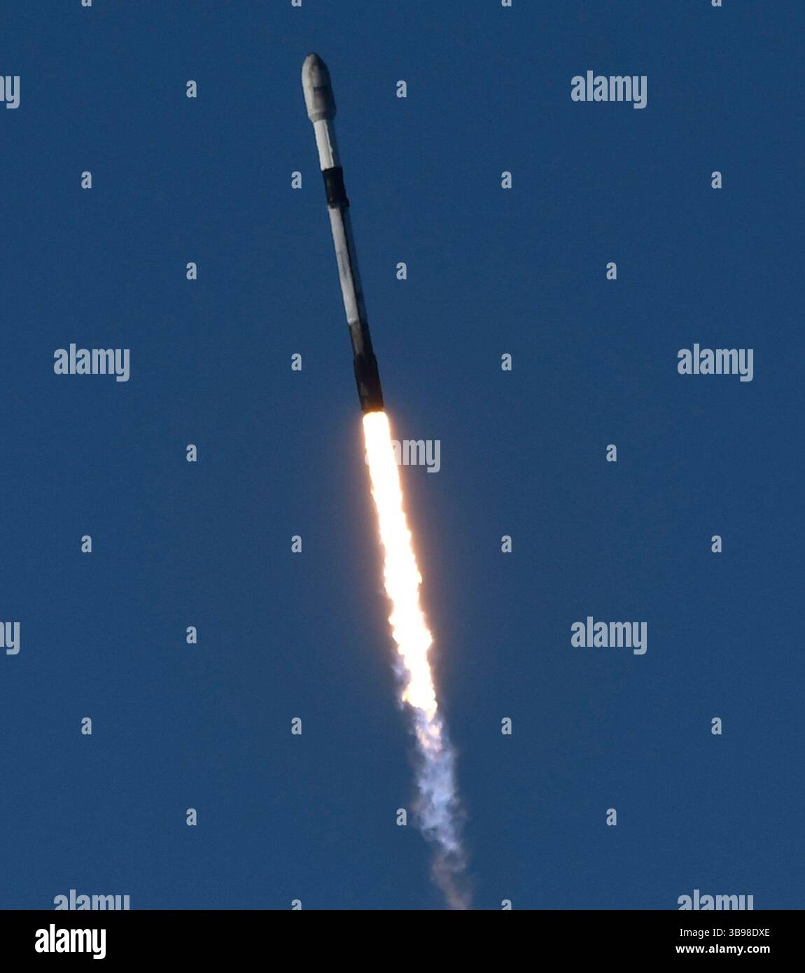 Dopo un ritardo di 48 ore SpaceX Starllink lancia un Falcon 9 con dozzine di satelliti e per la prima volta ceneri di persone nello spazio da Vandenberg SFB, CA/USA, martedì 31 gennaio 2023. Le ceneri 5 persone saranno sul razzo e orbiteranno intorno alla Terra per un massimo di 10 anni, prima di schiantarsi attraverso l'atmosfera e bruciare. Questo è il primo lancio da parte di StardustMe dalla nuova Zelanda di resti umani in orbita Sense 1992, quando una navetta spaziale della NASA trasportò le ceneri del creatore di Star Trek Gene Roddenberry?. (Immagine di credito: © Gene Blevins/ZUMA Press Wire) Foto Stock