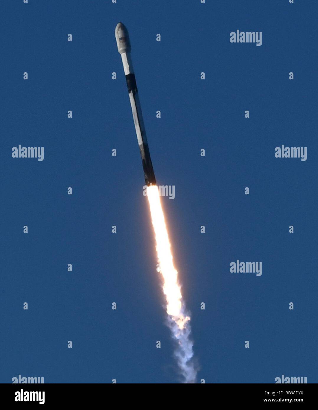 Dopo un ritardo di 48 ore SpaceX Starllink lancia un Falcon 9 con dozzine di satelliti e per la prima volta ceneri di persone nello spazio da Vandenberg SFB, CA/USA, martedì 31 gennaio 2023. Le ceneri 5 persone saranno sul razzo e orbiteranno intorno alla Terra per un massimo di 10 anni, prima di schiantarsi attraverso l'atmosfera e bruciare. Questo è il primo lancio da parte di StardustMe dalla nuova Zelanda di resti umani in orbita Sense 1992, quando una navetta spaziale della NASA trasportò le ceneri del creatore di Star Trek Gene Roddenberry?. (Immagine di credito: © Gene Blevins/ZUMA Press Wire) Foto Stock