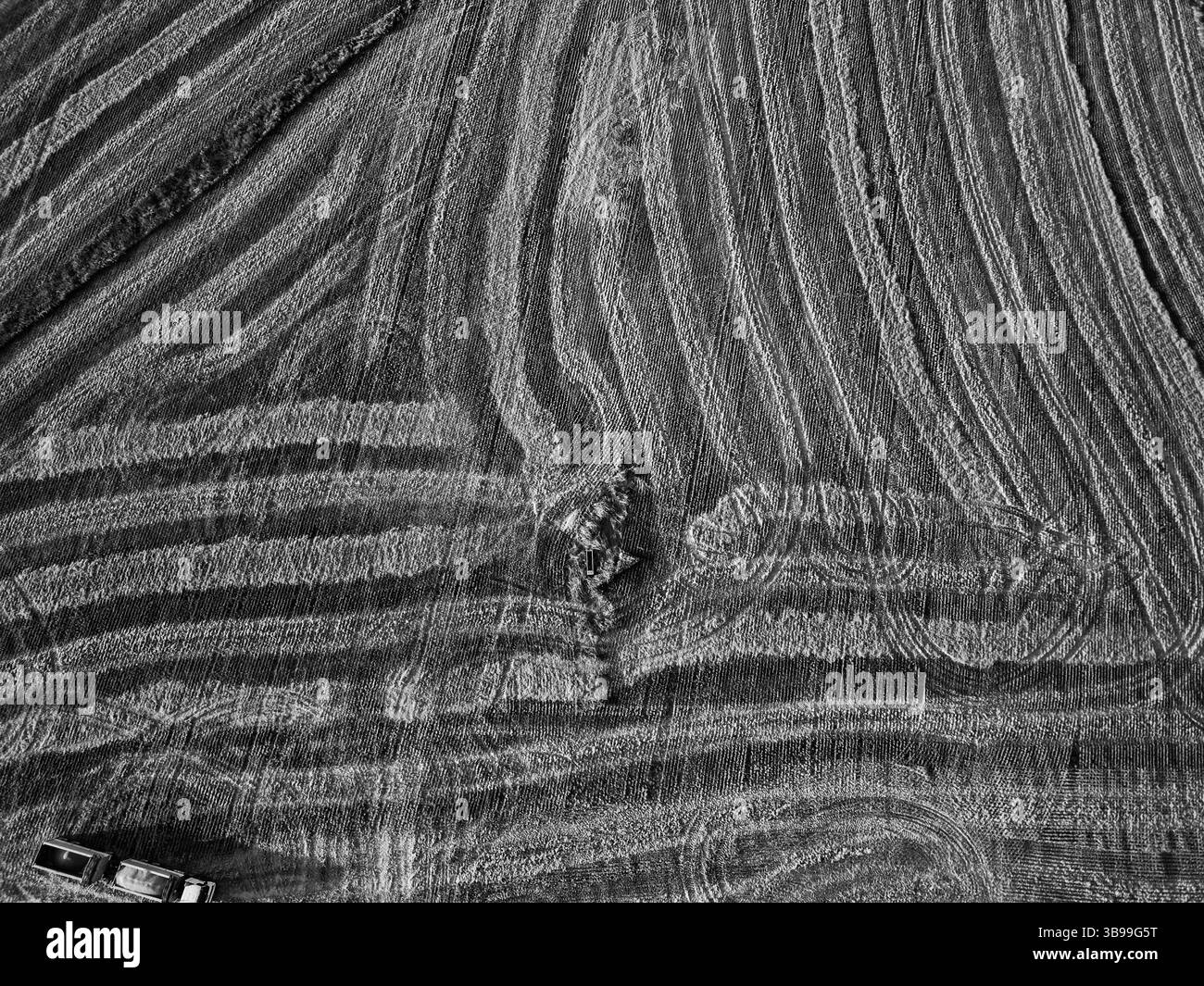 raccolta dei campi dall'alto Foto Stock