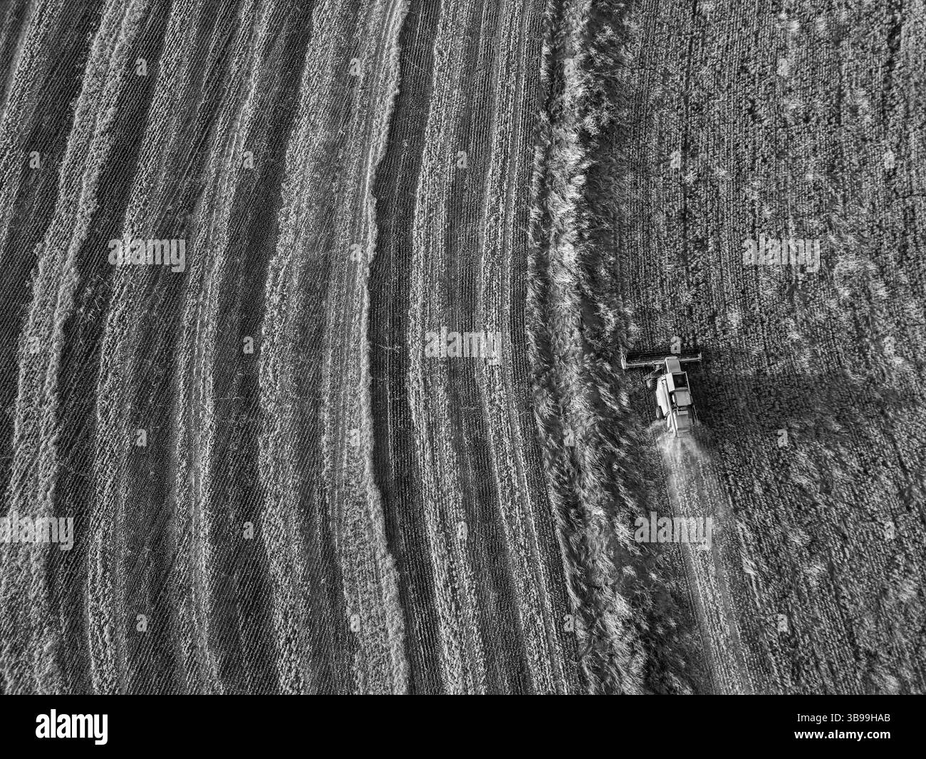 raccolta dei campi dall'alto Foto Stock