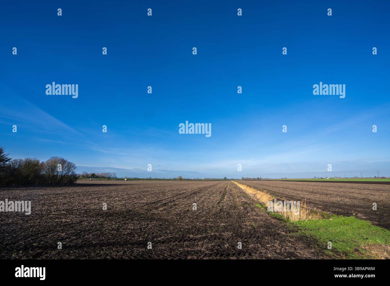 Campagna pianeggiante vicino a Ely, Cambridge, Regno Unito, sotto il cielo blu Foto Stock