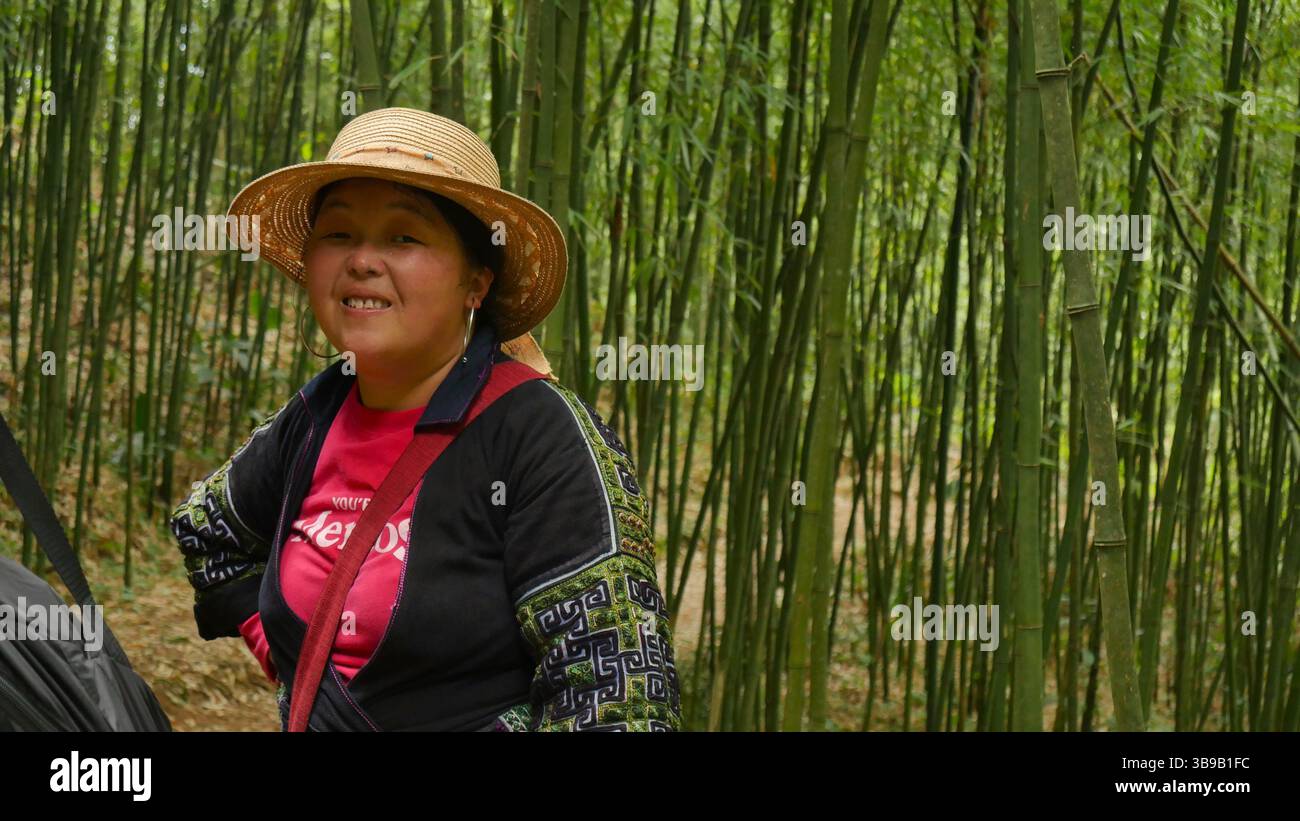 Ritratto di una donna Hmong che indossa abiti tradizionali e un cappello di paglia, in piedi in una foresta di bambù vicino a Sapa, in Vietnam. Foto Stock