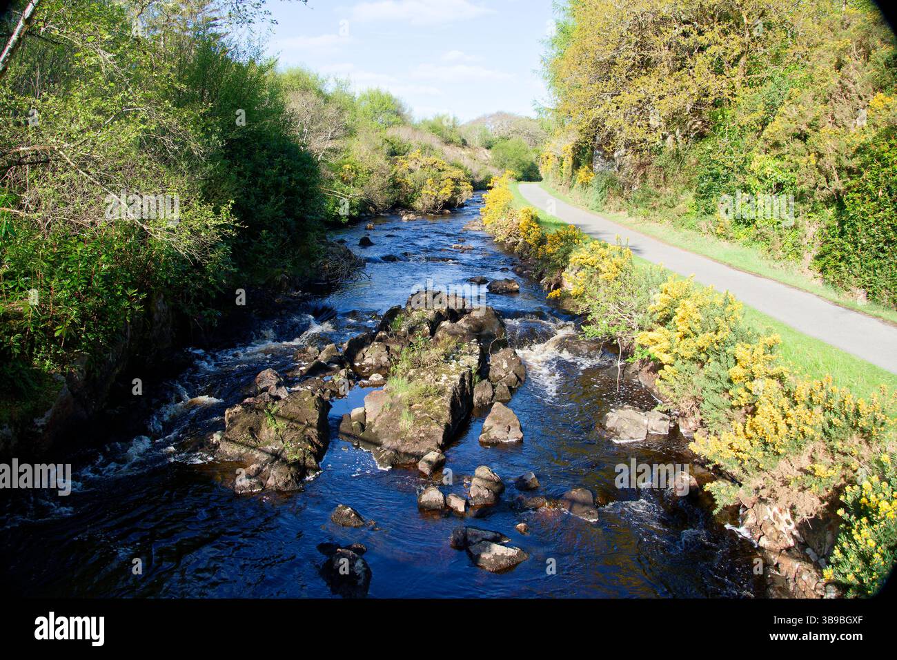 Rocce in un ruscello poco profondo Foto Stock