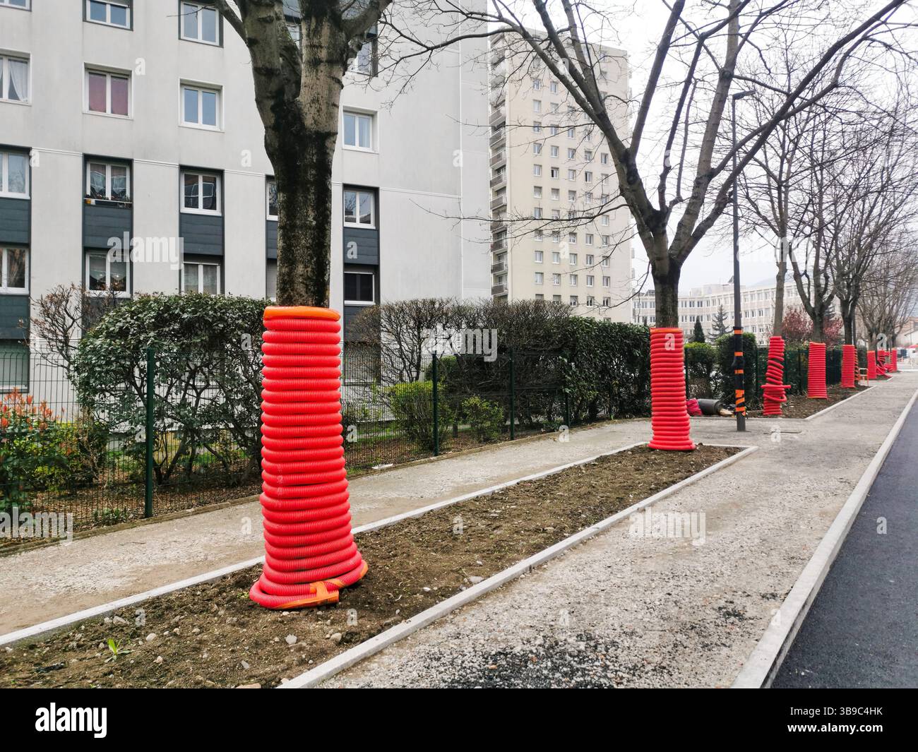 Un tubo di plastica arancione brillante circonda un albero in un cantiere per proteggerlo durante le attività di costruzione nelle vicinanze. Francia - Immagine stock catturata con smartphone