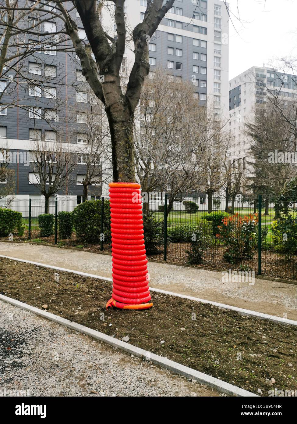 Un tubo di plastica arancione brillante circonda un albero in un cantiere per proteggerlo durante le attività di costruzione nelle vicinanze. Francia Foto Stock