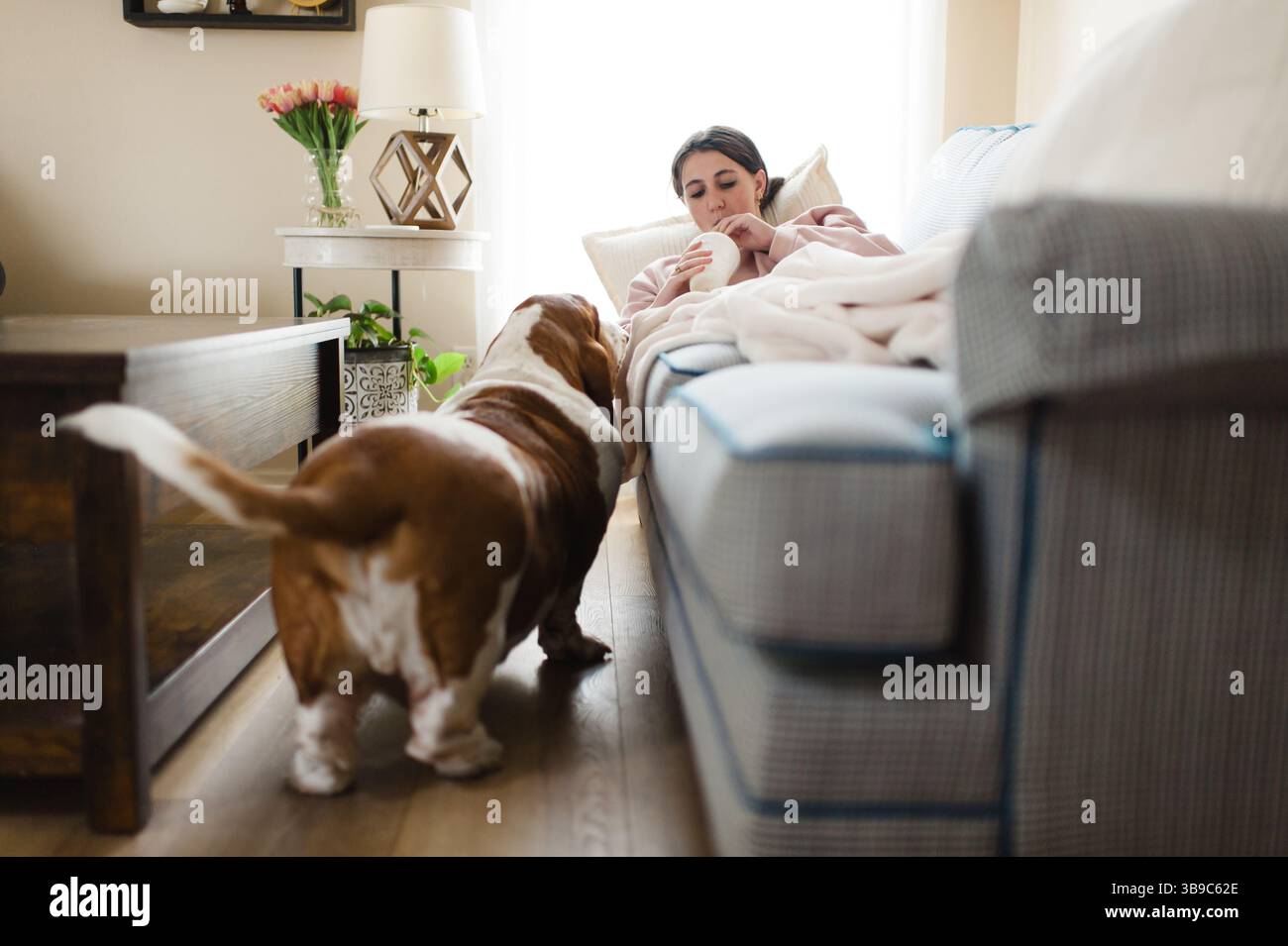 Teen che si rilassa sul divano con coperta e curioso basset hound nelle vicinanze Foto Stock