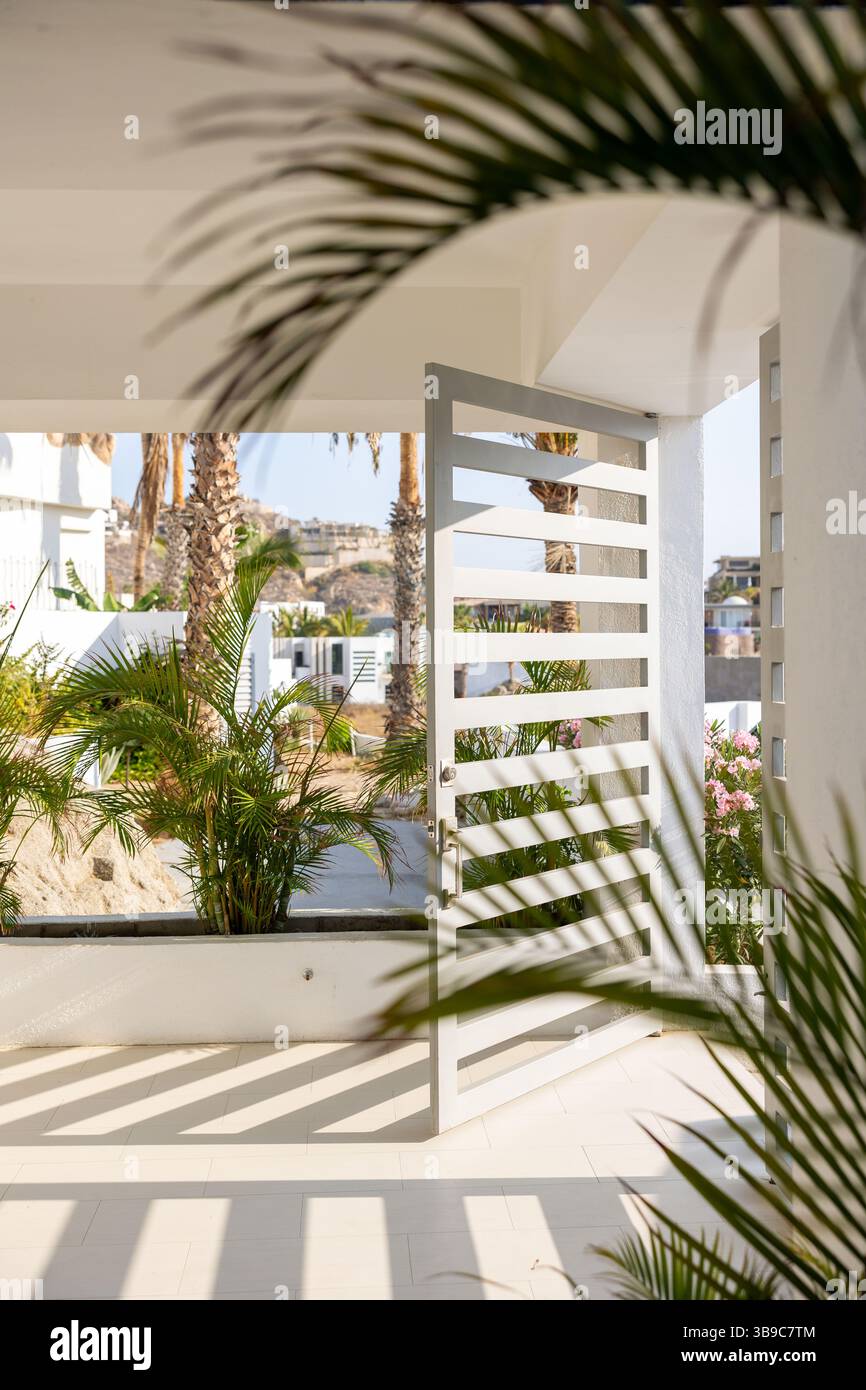 Porta d'ingresso moderna con palme e luce naturale brillante Foto Stock