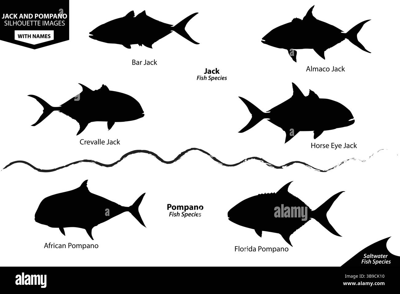Set vettoriale sagoma pesci Jack e Pompano | grafico ID specie di acqua salata Illustrazione Vettoriale