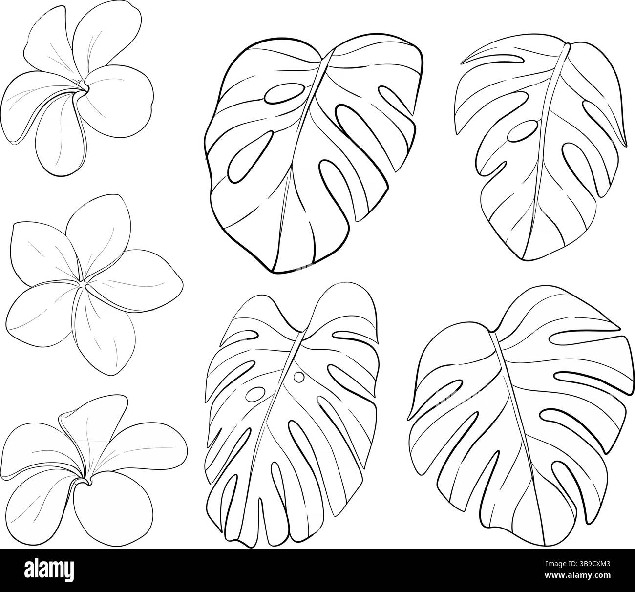 Clipart tropicale vettoriale - foglie di monstera e frangipane. Fiori esotici. Silhouette nera del circuito. Perfetto per il design di matrimoni, biglietti e stampe Illustrazione Vettoriale
