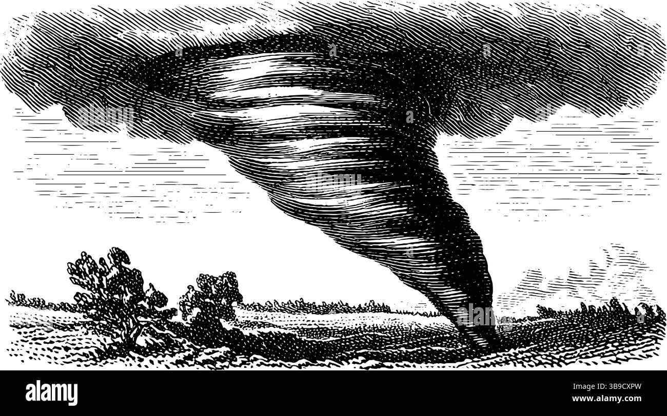 Scena di tornado incisa con linee nere drammatiche in un ambiente naturale. Illustrazione Vettoriale