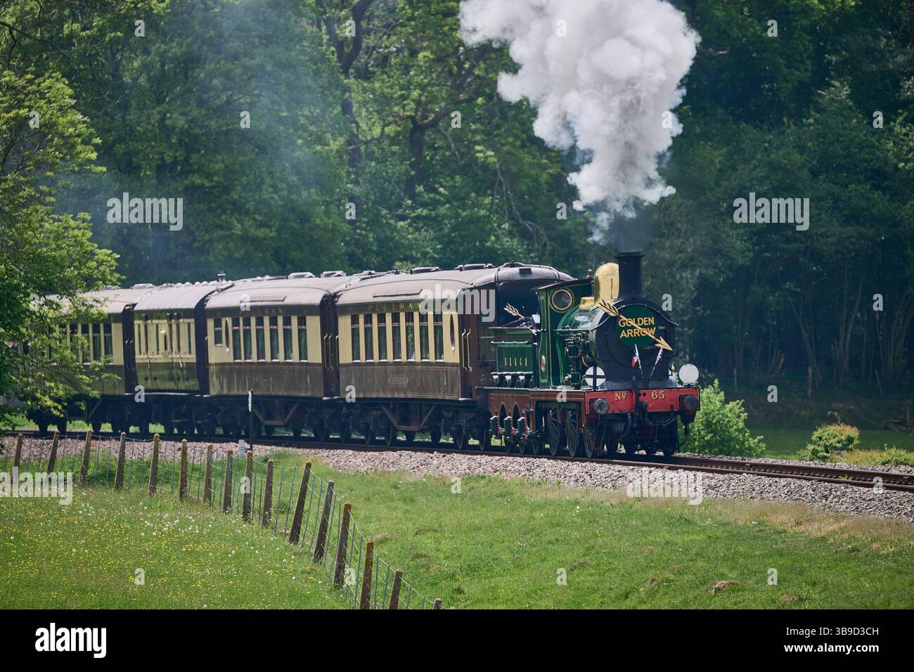 La locomotiva di classe O1 trae il treno Bluebell Railway Pullman che costituisce il Golden Arrow Special Foto Stock