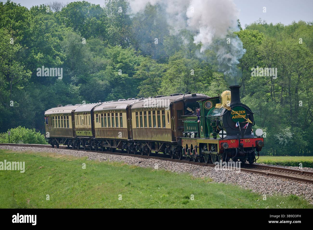 La locomotiva di classe O1 trae il treno Bluebell Railway Pullman che costituisce il Golden Arrow Special Foto Stock