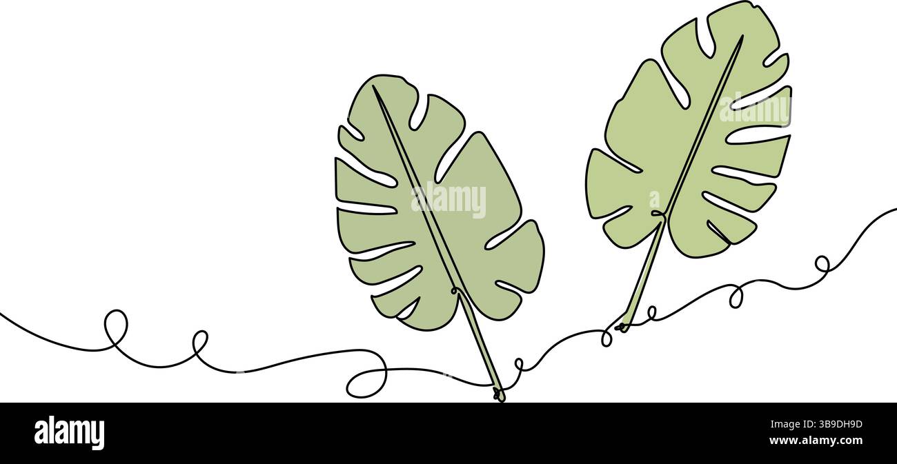 Monstera lascia un disegno a una linea con accenti di colore verde Illustrazione Vettoriale