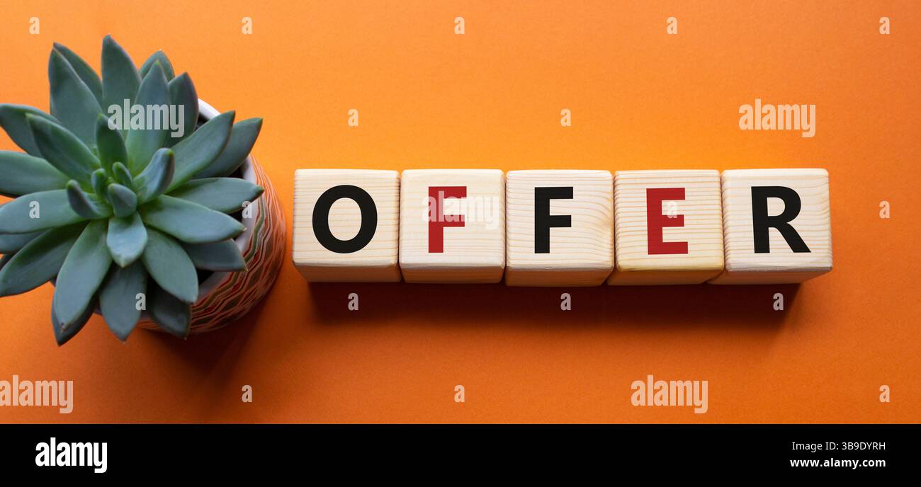 Simbolo dell'offerta. Cubi di legno con offerta di parola. Bellissimo sfondo arancione con piante succulente. Concetto di business e offerta. Copia spazio. Foto Stock