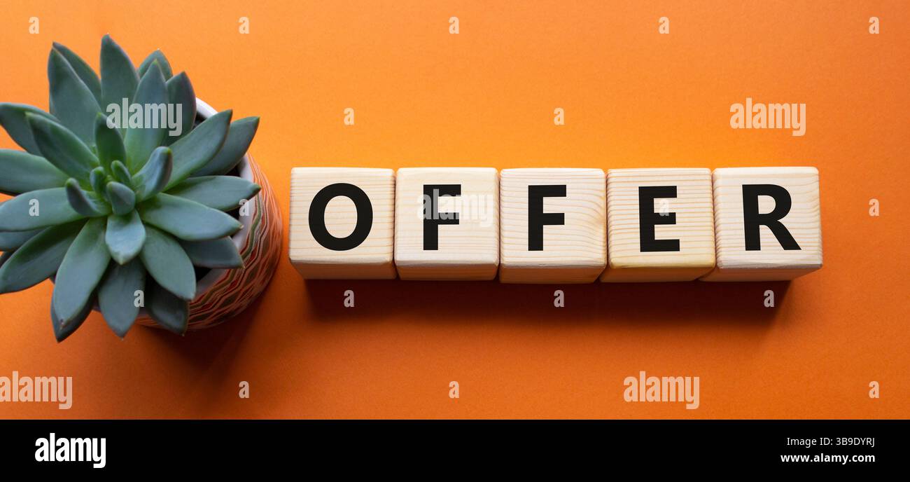 Simbolo dell'offerta. Cubi di legno con offerta di parola. Bellissimo sfondo arancione con piante succulente. Concetto di business e offerta. Copia spazio. Foto Stock