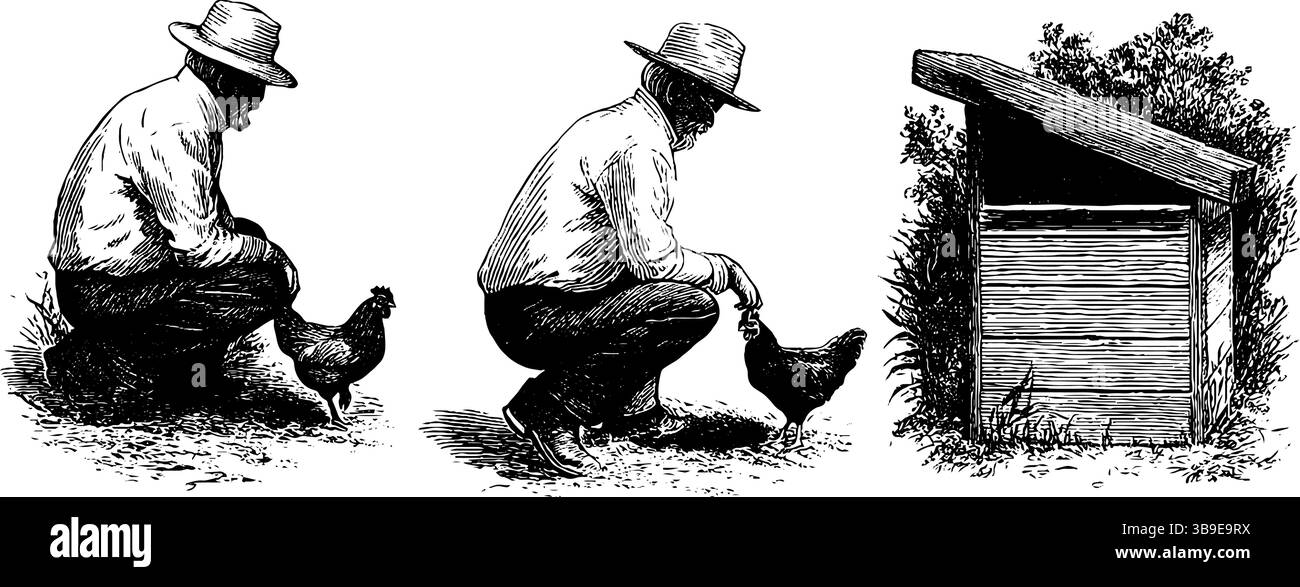 Nostalgica vita rurale: nonno che dà da mangiare ai pulcini in un ambiente rurale. Illustrazione Vettoriale