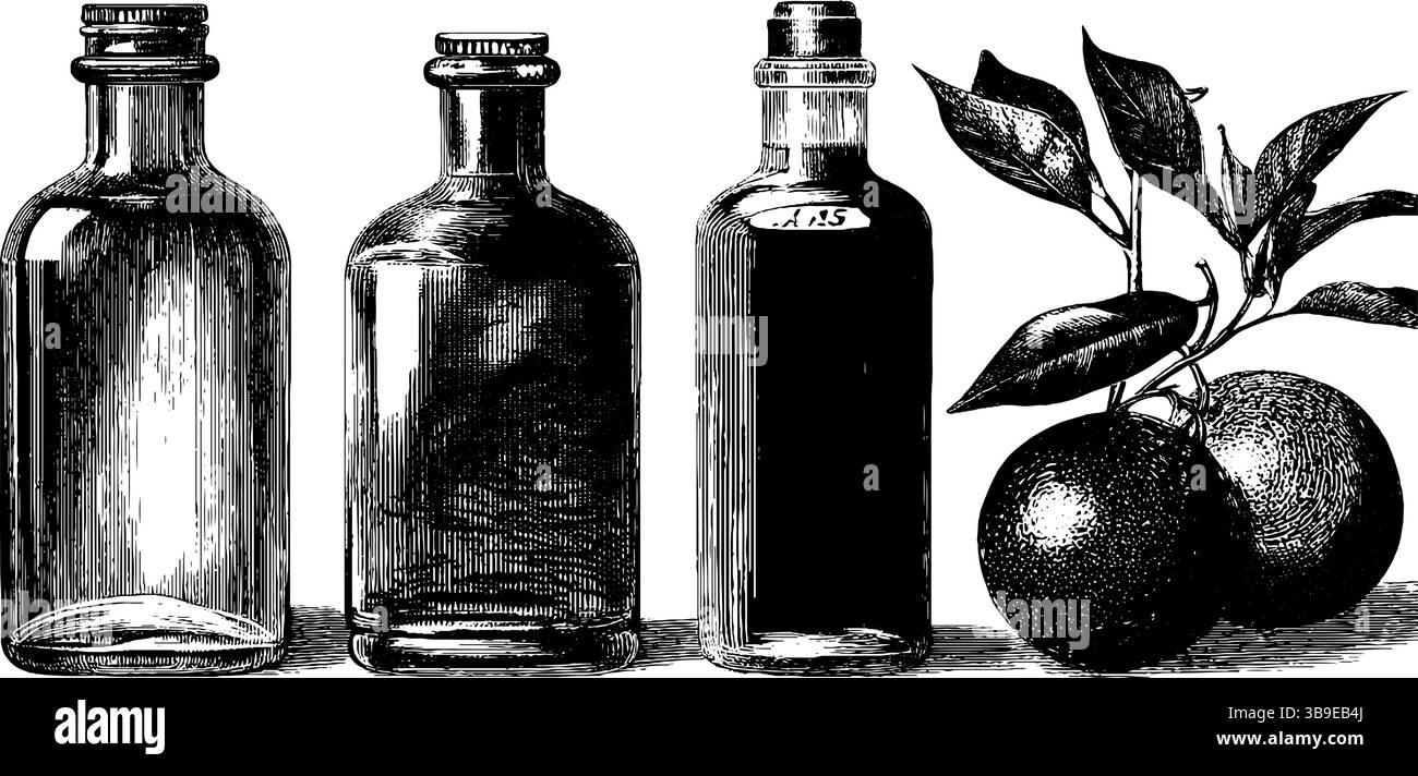 Incisione vintage di bottiglie e arance d'epoca per il design e la stampa. Illustrazione Vettoriale