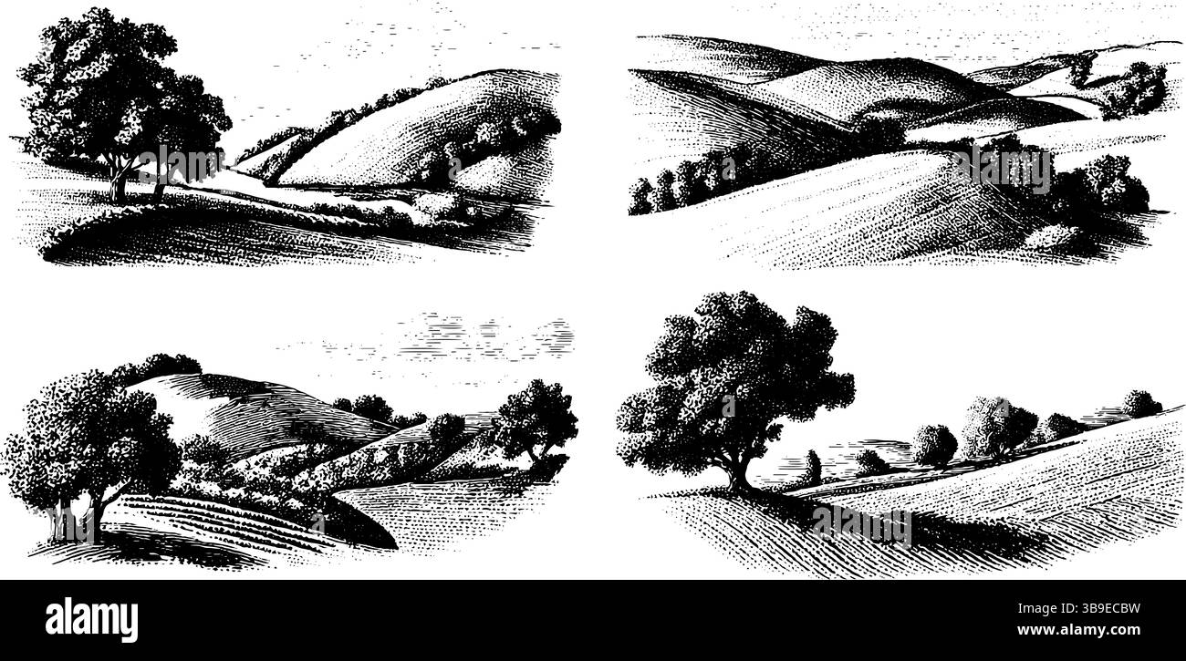 Illustrazioni incise di terreni agricoli con colline ondulate e alberi per il disegno della natura. Illustrazione Vettoriale
