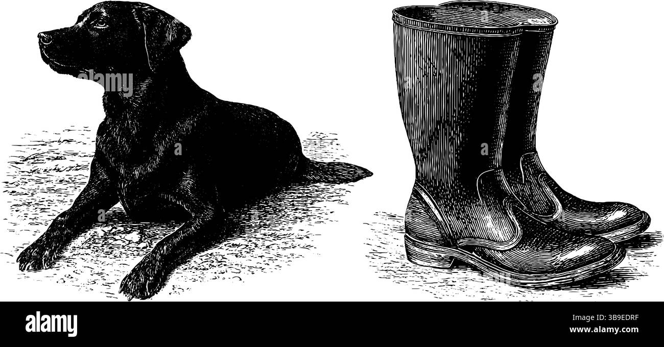 Illustrazione di cani e stivali da fattoria incisi per progetti di design rustico. Illustrazione Vettoriale