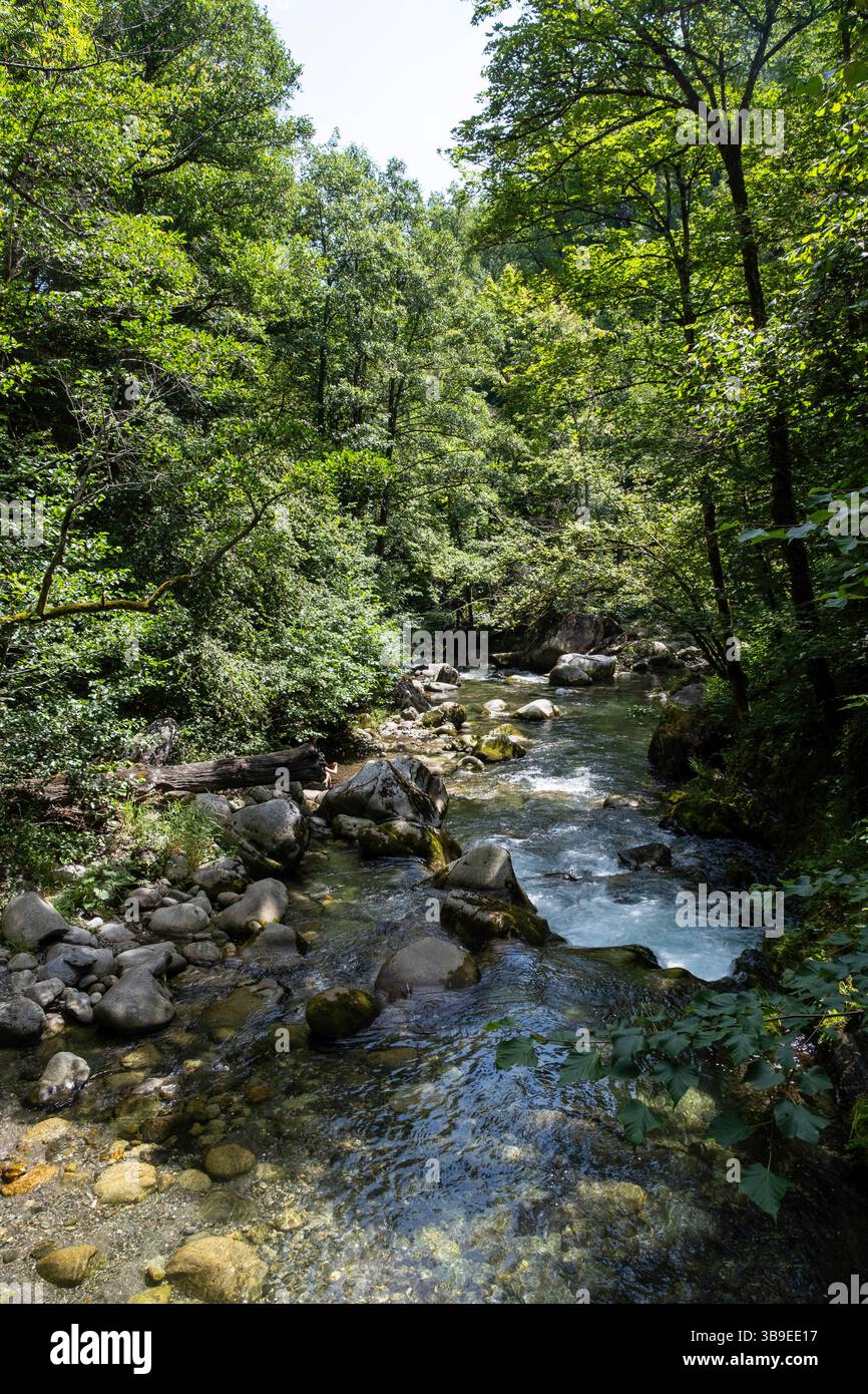Argelès-Gazost (Francia sud-occidentale): "Gave d'Azun", fiume nella foresta Foto Stock