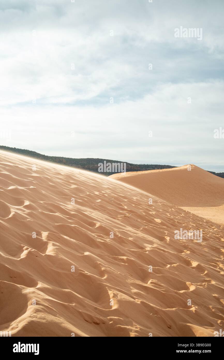 Coral Pink Sand Dunes State Park, Utah Foto Stock